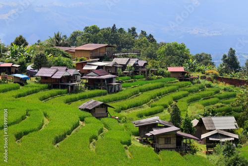 Village houses among lush rice terraces in Mae Chaem
