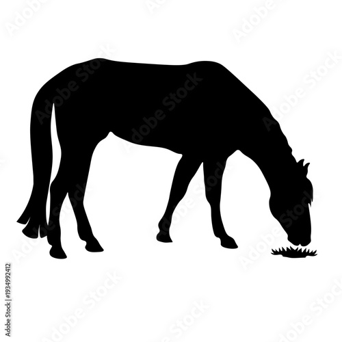 Grazing Horse Vector