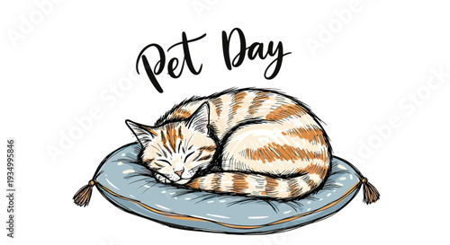 Orange Tabby Cat Sleeping on Cushion.