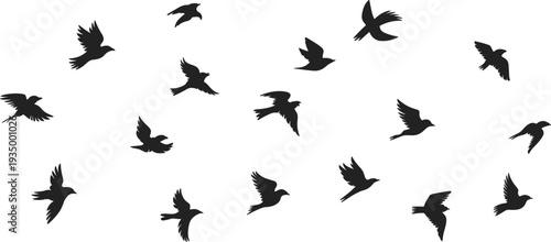 Flying birds silhouette collection vector set isolated on white background flock of birds in flight wildlife nature freedom design