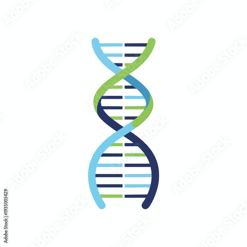 Colorful DNA Double Helix Structure