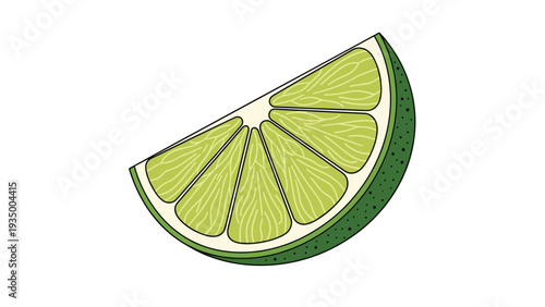 Detailed cross section of a green lime wedge showing the juicy segments and textured skin on a plain white background.