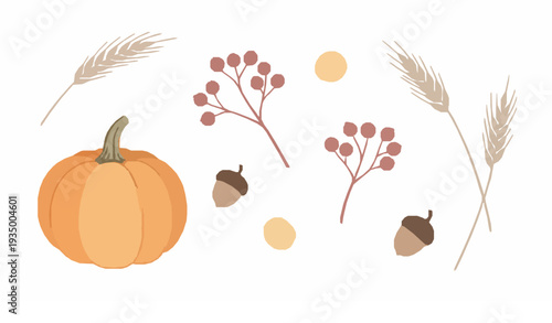 Minimal Watercolor Autumn Harvest Elements Pumpkin Wheat Vector