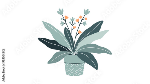 Elegant potted plant features broad green leaves and delicate stems with small orange flowers in a decorative patterned ceramic pot.