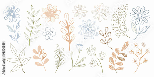 Delicate floral and botanical sketches in pastel muted tones