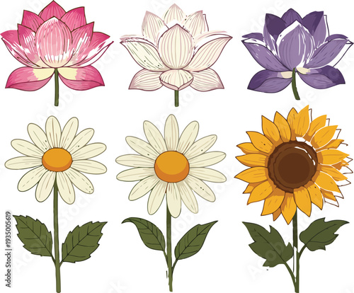 Set of 6 colorful flower icons vector