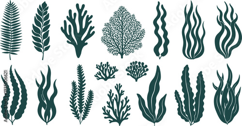 Seaweed and underwater marine plants silhouettes collection with ocean algae coral reef botanical elements vector illustration