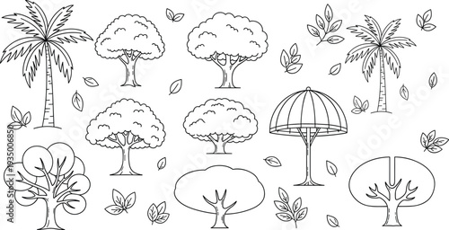 Tree outline icons collection with palm oak garden trees leaves and park plants line art vector illustration set