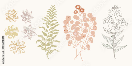 Botanical illustration featuring various wildflowers and foliage elements