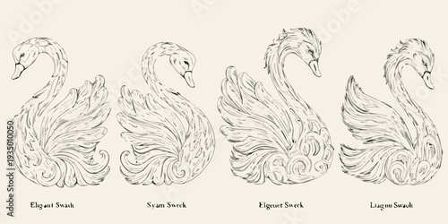 Four detailed swan sketches with ornate swirling feather patterns