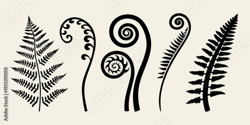 Black fern fronds and koru spirals depicted in a minimalist style
