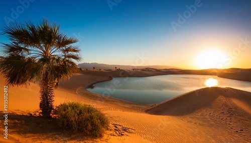 Scenic Landscape Of Sand Dunes A Lake And Palm Trees In A Desert Environment At Sunset