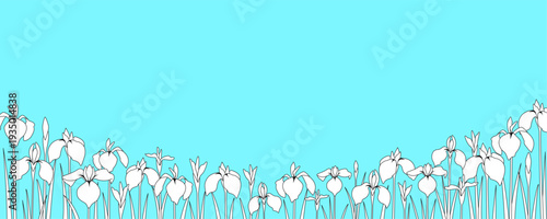 花菖蒲が咲きほこる背景　バナーテンプレート