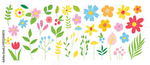 Collection of colorful floral elements in flat color. Set of spring and summer wild flowers, plants, branches, leaves and herb. Hand drawn of blossom vectors for decor, website, graphic and shop.