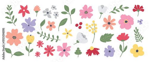 Collection of colorful floral elements in flat color. Set of spring and summer wild flowers, plants, branches, leaves and herb. Hand drawn of blossom vectors for decor, website, graphic and shop.