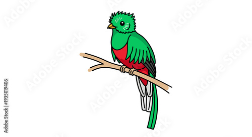 Colorful Quetzal bird vector illustration perched on a tree branch in simple line art style.