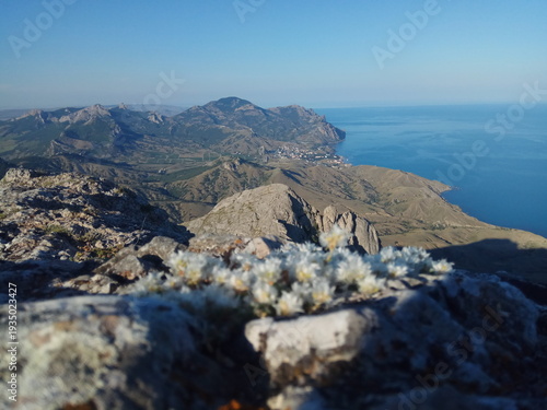Beautiful mountain ridges and spring flowers in background Europe And sea and blue sky