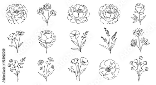 Flowers hand-drawn set with intricate black line art detailing featuring floral, botanical, nature with plants and