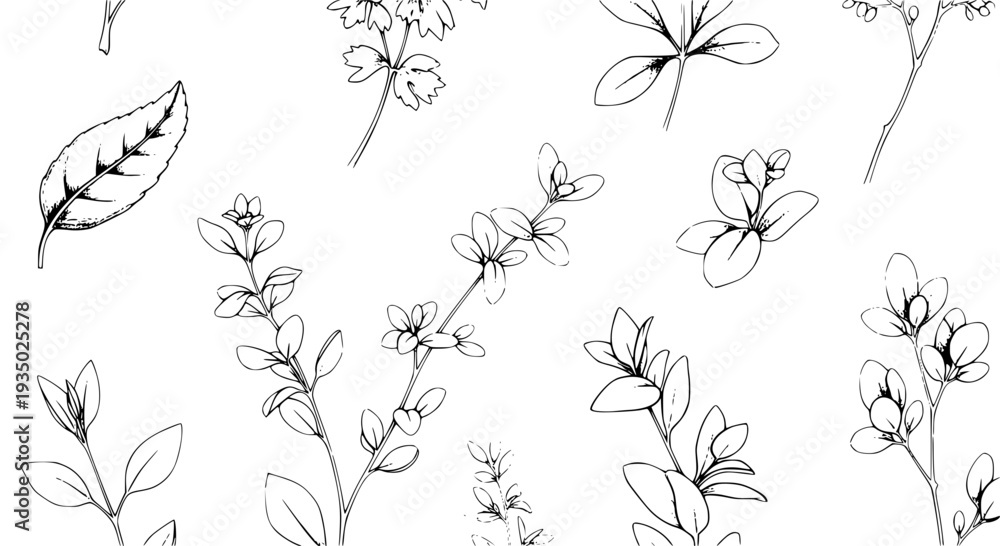 Obraz premium Plants hand-drawn set with delicate lines and intricate details featuring botanical, nature, leaves with flowers and