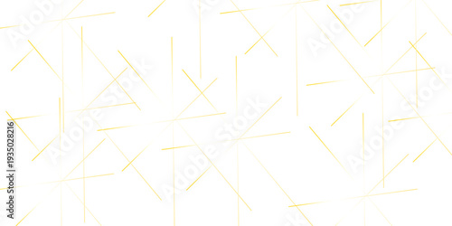 Abstract background with lines. White weave geometric golden lines. Abstract background vector Illustration . futuristic business.