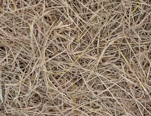 dry grass on the ground