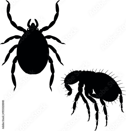 Tick and flea silhouettes isolated on white background, parasitic insects vector illustration representing pest control, disease carriers, infestation warning concept