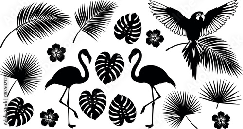 Tropical jungle silhouette collection with flamingos, parrot, palm leaves, monstera foliage and exotic flowers isolated vector illustration for summer, wildlife and botanical design.