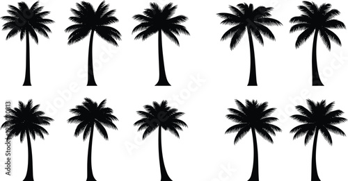 Silhouette of Palm Trees in Various Styles for Tropical and Beach Designs