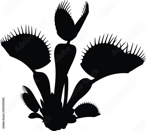 Black vector silhouette of a girl with a fan and a man standing near a flying eagle and dove with spreading wings in a nature art illustration design