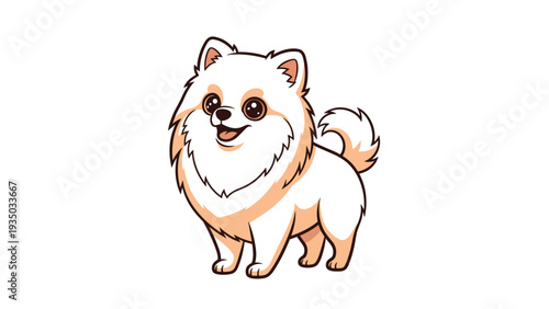Adorable white pomeranian dog with fluffy cream-colored fur and a happy smiling face stands against a minimalist white background.