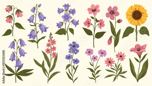 Beautiful selection of various wildflowers including yellow sunflowers purple bellflowers and pink blossoms on a cream-colored background.