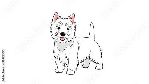 Small white West Highland White Terrier dog standing alertly with a friendly expression on a white background.