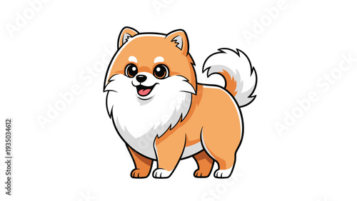 Adorable fluffy pomeranian dog with brown and white fur standing with a happy expression on a clean white background.
