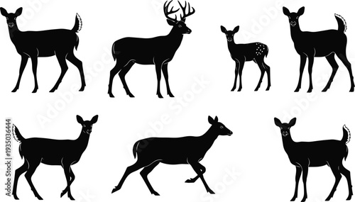 Deer silhouette vector set with stag doe and fawn isolated black wildlife animals for forest nature hunting illustration design
