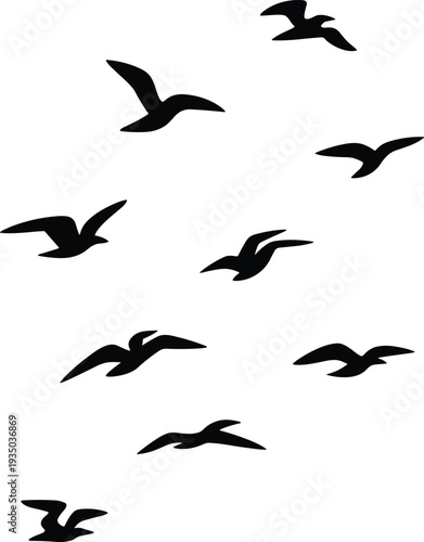 Flying birds silhouettes flock vector illustration isolated on white background wildlife nature freedom sky animal flight design