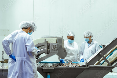 Quadro su tela HACCP officers assess fish condition beside stainless steel equipment within regulated processing area