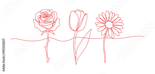 Single stroke illustration of a trio of blooming flowers.