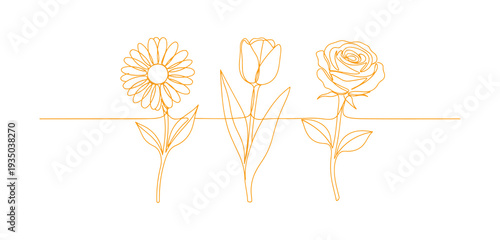 Minimalist trio of flowers illustrated in a single continuous line art style.