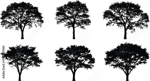 Tree silhouette illustration, black and white artwork, diverse canopy shapes, botanical line design, landscape elements, foliage patterns, nature study, graphic art