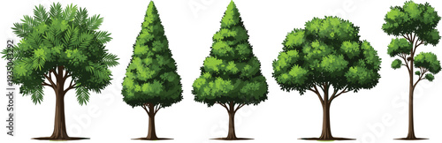 Collection of green trees isolated, different forest tree types illustration set, lush foliage nature elements, botanical vector design for landscape and environment concept