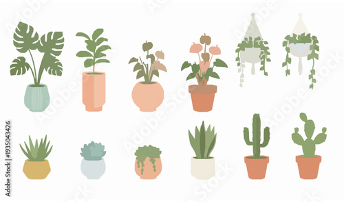 Indoor Potted Plants and Hanging Flowers Vector Set – Modern Home Decor Illustration Collection