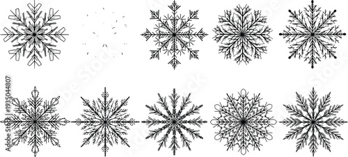 Snowflake winter crystal vector set with detailed ice snow ornament decorative cold weather elements