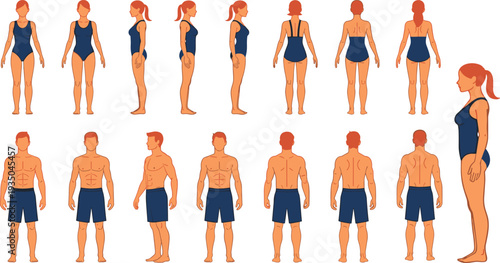 Male and female human body turnaround set, front side back views, anatomy reference, character design sheet, flat vector illustration