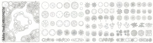 Landscape Design Plan Symbols and Garden Architecture Top View Tree and Shrub Icons