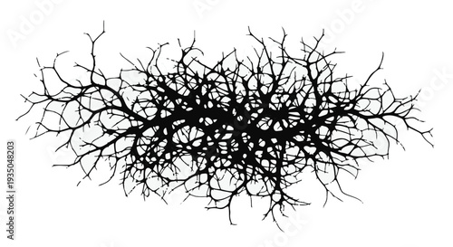 Intricate silhouette of tangled bare branches against a white background