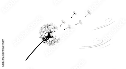 A black and white illustration of a dandelion puffball with its seeds being carried away by the wind, symbolizing wishes and freedom.