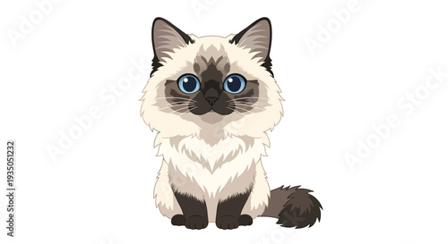 Ragdoll cat image, vector illustration, cute pet design, fluffy animal portrait, adorable kitten art