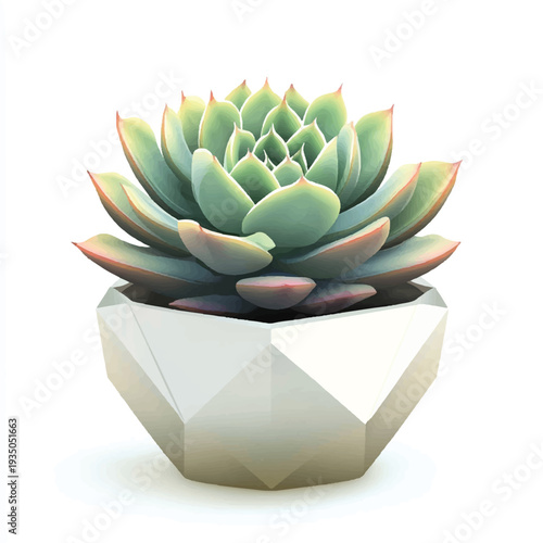 Vibrant Succulent Plant in Geometric Pot with Colorful Leaf Edges