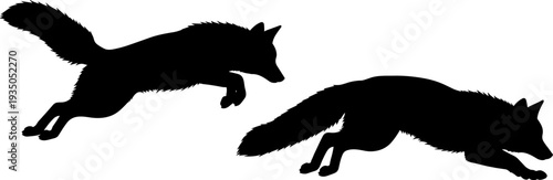 Fox silhouettes jumping and hunting isolated on white background, wildlife predator action, red fox movement, nature animal graphic design illustration