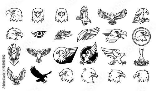 Eagle Outline Vector Icons Collection with Dynamic Flying and Perched Line Art